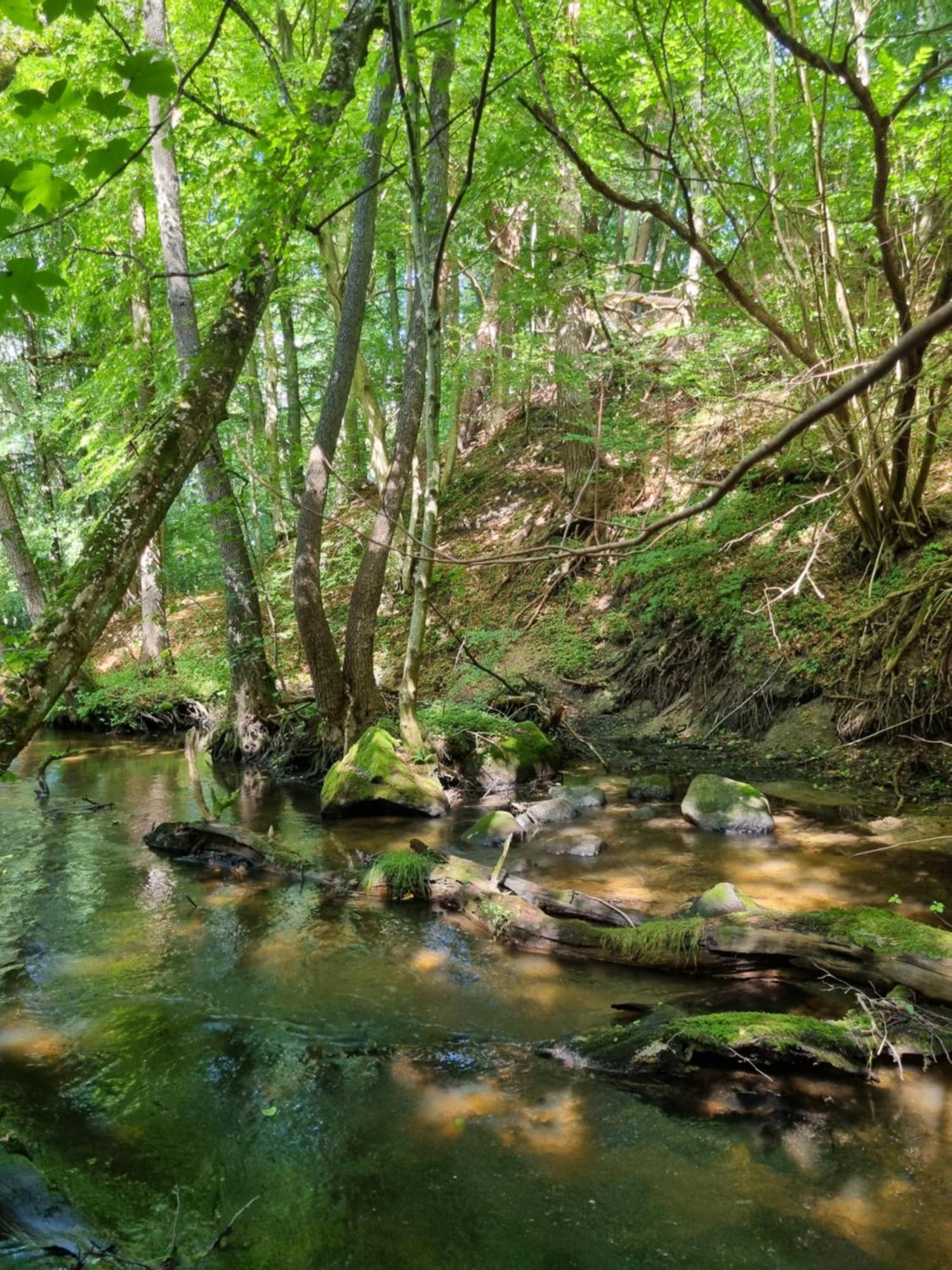 Domki Nad Morzem Lublewo21 Obok Bialogory Lublewo Leborskie Экстерьер фото