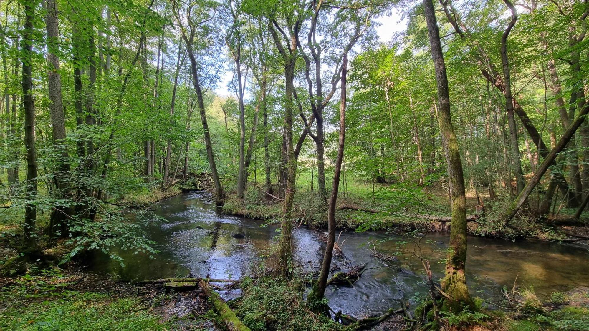 Domki Nad Morzem Lublewo21 Obok Bialogory Lublewo Leborskie Экстерьер фото