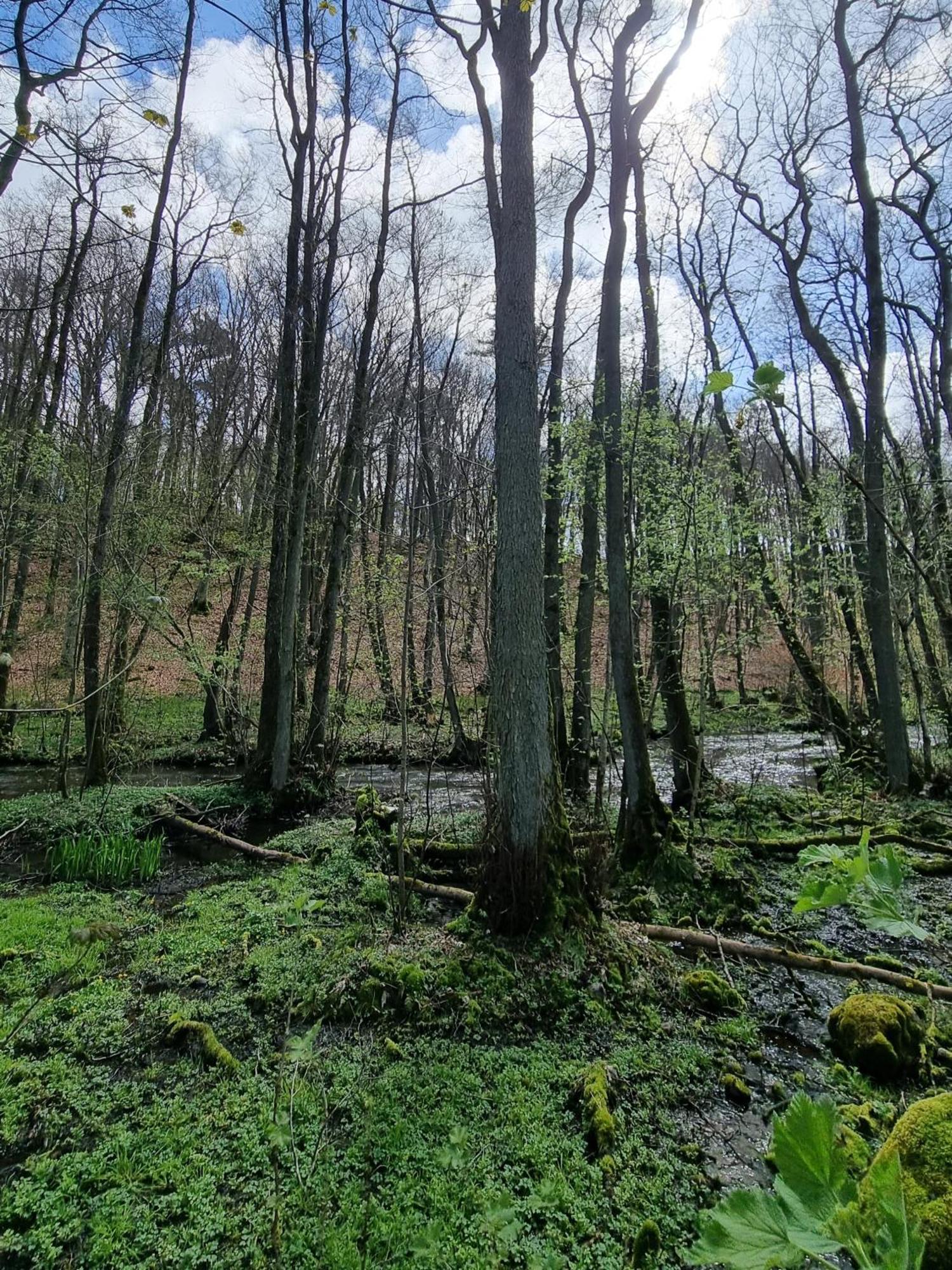 Domki Nad Morzem Lublewo21 Obok Bialogory Lublewo Leborskie Экстерьер фото